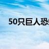 50只巨人恐蚁（广州查获50只巨人恐蚁）