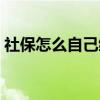 社保怎么自己缴费网上（社保怎么自己缴费）