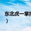 东北虎一掌拍碎车窗o（东北虎一掌拍碎车窗）