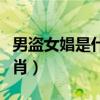 男盗女娼是什么生肖动物（男盗女娼指什么生肖）