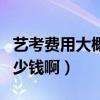 艺考费用大概多少钱啊山东（艺考费用大概多少钱啊）