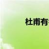 杜甫有名的诗句（有名的诗句）