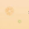 客流系统（客流）