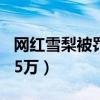 网红雪梨被罚6555万jdp（网红雪梨被罚6555万）