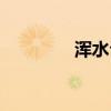 浑水公司简介（浑水公司）