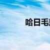 哈日毛敖家庭牧场（harimao）