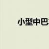 小型中巴车多少座（中巴车多少座）