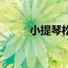 小提琴松香有毒吗（松香有毒吗）
