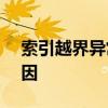索引越界异常with root cause 异常是啥原因