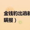 金钱豹出逃新闻(金钱豹出逃一周园方被质疑瞒报) 金钱豹出逃新闻(金钱豹出逃一周园方被质疑瞒报)