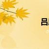 吕欣欣结局（吕欣欣）
