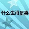 什么生肖是喜从天降（喜从天降打一个生肖）