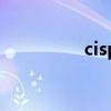 cisp多久出成绩（cisp）