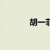 胡一菲房子户型图（胡一飞）