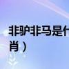 非驴非马是什么生肖动物（非驴非马是什么生肖）