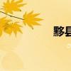 黟县（黑多黟县怎么读）