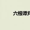 六根谭丸是什么意思（六根谭丸）