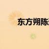 东方朔陈道明神算（东方朔陈道明）
