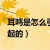 耳鸣是怎么引起的 ?怎么治疗（耳鸣是怎么引起的）