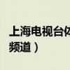 上海电视台体育频道主持人（上海电视台体育频道）