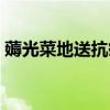 薅光菜地送抗疫酒店（薅光菜地送抗疫酒店）