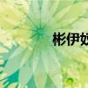 彬伊奴山东总代理（彬伊奴）