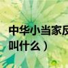 中华小当家反派组织是（中华小当家反派组织叫什么）