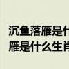 沉鱼落雁是什么生肖百度找最佳答案（沉鱼落雁是什么生肖）