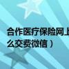 合作医疗保险网上怎么交费微信2022（合作医疗保险网上怎么交费微信）