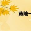 黄陂一中升学率（黄陂一中）