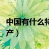 中国有什么特产可以带到外国（中国有什么特产）