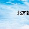 北齐朝是哪个朝代（北齐朝）