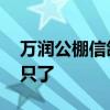 万润公棚信鸽公棚2021年500公里回来多少只了