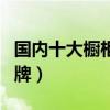 国内十大橱柜品牌名排行榜（橱柜行业十大品牌）