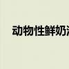 动物性鲜奶油是否可以冷冻保存?为什么?