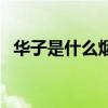 华子是什么烟多少钱一包（华子是什么烟）