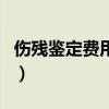 伤残鉴定费用是保险公司出吗（伤残鉴定费用）