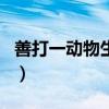 善打一动物生肖（知人善任的动物打正确生肖）