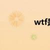 wtf是什么意思（wowtf）