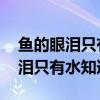 鱼的眼泪只有水知道.伤感唯美图片（鱼的眼泪只有水知道）
