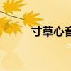 寸草心音乐（悠悠寸草心主题曲）