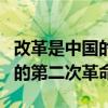 改革是中国的第二次革命辨析题（改革是中国的第二次革命）