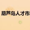 葫芦岛人才市场档案查询（葫芦岛人才市场）