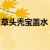 草头秃宝盖水 什么字（草字头秃宝盖一个水）
