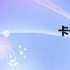 卡奇杜主唱（卡奇杜）