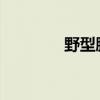 野型腮腺炎病毒转影片格式