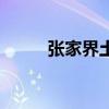张家界土司皇宫（张家界火宫殿）