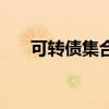 可转债集合竞价规则（集合竞价规则）