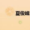 夏俊峰案最后的结果（夏俊锋）