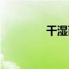 干湿两用粉饼（两用粉饼）